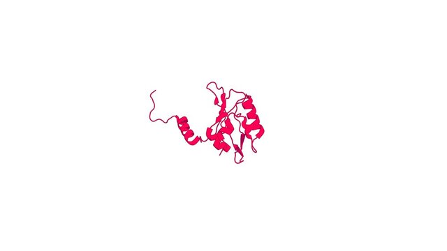 360&ordm; 3D rendering of a biological molecule. Mechanistic insight into human ether-a-go-go-related gene (hERG) K+ channel deactivation gating from the solution structure of the EAG domain.