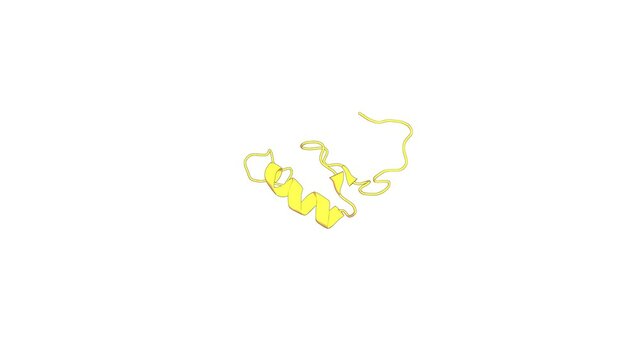 360&ordm; 3D rendering of a biological molecule. Solution structure of the C2H2 type zinc finger (region 284-316) of human Zinc finger protein 347