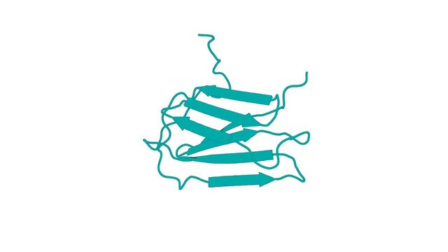 360&ordm; 3D rendering of a biological molecule. Structure and Interactions of the CS Domain of Human H/ACA RNP Assembly Protein Shq1.