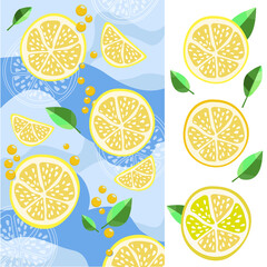 Vector lemon. Fresh lemon fruit, collection of vector illustrations