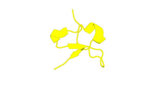 360&ordm; 3D rendering of a biological molecule. The structure, dynamics and selectivity profile of a NaV1.7 potency-optimised huwentoxin-IV variant.