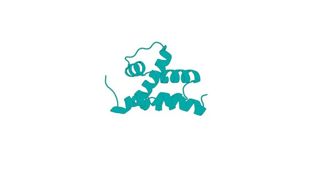 360&ordm; 3D rendering of a biological molecule. Solution structure of UPF0350 protein VC_2471.