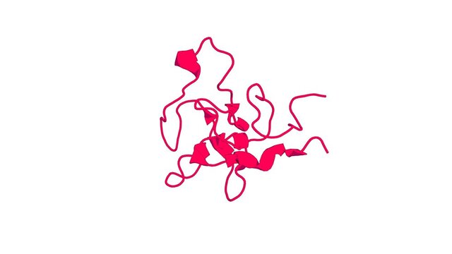 360&ordm; 3D rendering of a biological molecule. Solution structure and dynamics of the plasminogen kringle 2-AMCHA complex: 3(1)-helix in homologous domains.