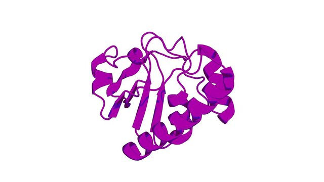 360&ordm; 3D rendering of a biological molecule. A Hybrid Mechanism for the Synechocystis Arsenate Reductase Revealed by Structural Snapshots during Arsenate Reduction.