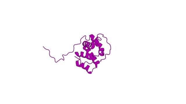 360&ordm; 3D rendering of a biological molecule. CARD-mediated autoinhibition of cIAP1's E3 ligase activity suppresses cell proliferation and migration.