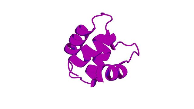 360º 3D rendering of a biological molecule. Letter to the Editor: Solution structure of a calmodulin-like calcium-binding domain from Arabidopsis thaliana
