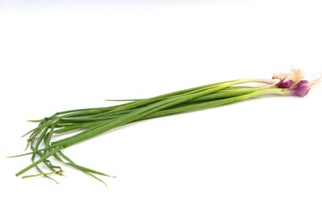 Leek (Allium fistulosum), scallion, green onion, spring onion or  Bawang daun isolated on white