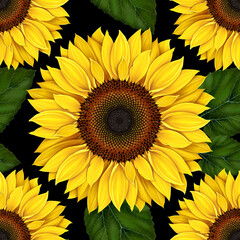 Sunflower seamless pattern on black background background Realistic drawing. Yellow sunflower flower with green leaves Seeds and petals of a yellow flower Agriculture autumn harvest of sunflower seeds