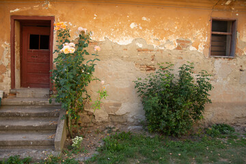 Fototapeta na wymiar old building with roses at the entrance