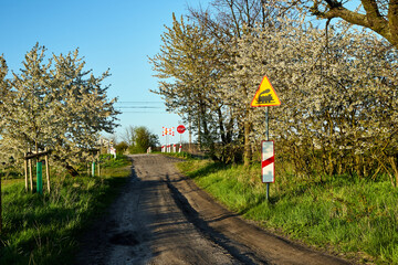 Blooming fruit trees and road signs on a dirt road in spring