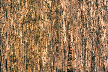 Old and rotten wooden wall. View close up