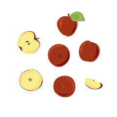 Vector apples hand drawn set . Sketch vector food illustration. Vintage style. Slice and whole fruit