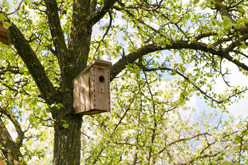 Bird house on a tree. a bird house hanging spring time. Caring for the environment