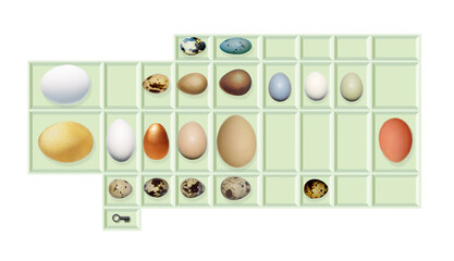 Fantasy collection of eggs. 3d render. Birds, reptiles and a golden egg in separate cells. Illustration on the topic of the housing issue.