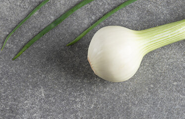 fresh green onions and young onions bulb on a gray background. Eco food concept