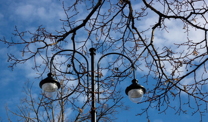 A lamppost with two lamps on the background of the sky and spring bare branches
