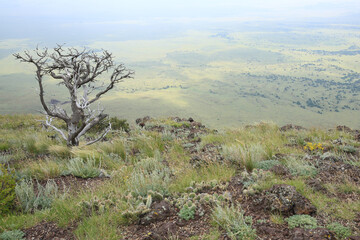 View from Capulin Volcano in New Mexico, USA