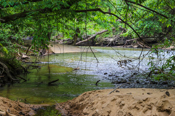 Fototapeta na wymiar a stunning shot of the rushing river water of Big Creek river with lush green trees and large rocks on the banks and in the middle of the river at Vickery Creek in Roswell Georgia