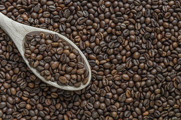 assorted coffee beans and wooden spoon