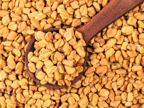 wood spoon on pile of Fenugreek seeds closeup