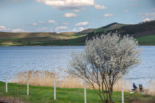 Romania, Mures, ZAU DE CAMPIE Lake ,2021