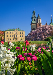 Spring in Krakow - Wawel Castle in flowers.