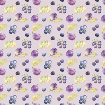 Watercolor summer plums and grapes on soft purple-pink background. Elegant and fresh seamless pattern. Perfect for farmhouse style, cottagecore, nature lovers' design projects.