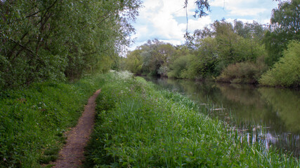 River Nene in the woods with dirt path