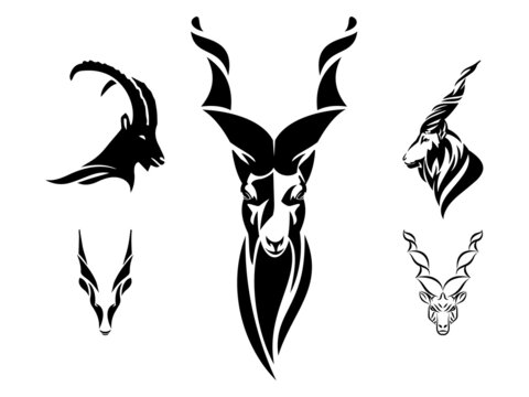 Snake Eater Markhor (Capra falconeri) Mountain goat. Head black and white vector design. Can be used for logo and tattoo.