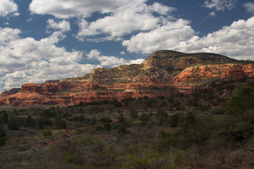 National park with red rocks