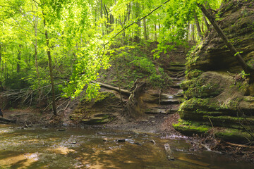 Oglesby, Illinois, USA - May 16th, 2021. Forest trail. Scenic panoramic view of the Canyon in National Park. Mountain hiking trail.