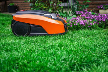 Lawn robot mows the lawn. Robotic Lawn Mower cutting grass in the garden. - obrazy, fototapety, plakaty