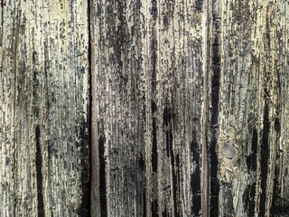 texture and background of old and burned wooden boards