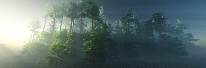 Fototapeta premium The edge of the forest in the morning in the sun, the forest in the fog, the trees in the rays in the morning in the haze, 3D rendering