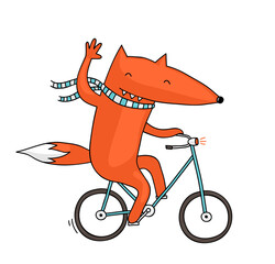 Cute and funny illustration of a fox riding a bike