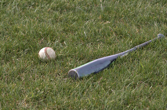 Sports: Baseball bat and ball in green grass.