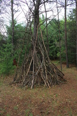 teepee in the forest