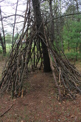 teepee in the forest