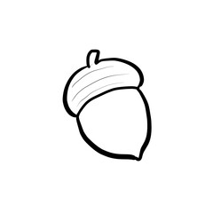 Simple and real acorn line drawing