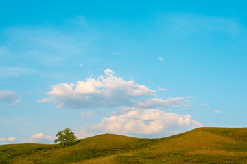 Hills, tree and blue sky with clouds.