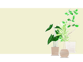 水彩風の観葉植物のイラスト背景