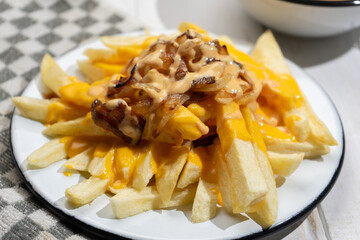 Animal style fries with cheese and caramelized onion on white background