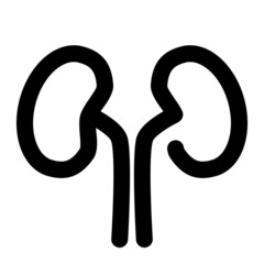 icon kidney using line style