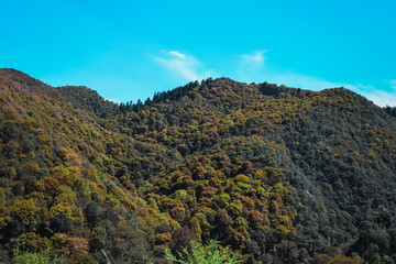 autumn in the mountains