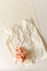 smooth and crumpled cotton fibre paper - photographed from above on white