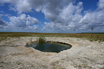 Solution hole during severe drought in Hole-in-the-Donut habitat restoration area of Everglades National Park, Florida under bright summer cloudscape.