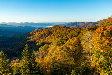 Naklejka na ściany i meble vibrant early morning autumn in the Great Smoky Mountains national park in Tennessee overlooking the Appalachian and Blue Ridge mountain range. 