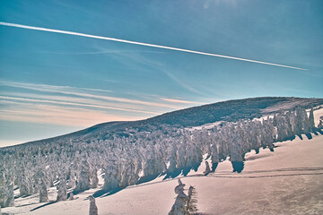 樹氷原（山形蔵王）
