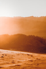 Fototapeta premium sunset over the sea