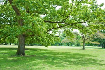 green park